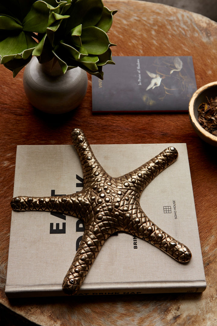 Starfish accessory Abigail Ahern その他のスペース その他アート作品