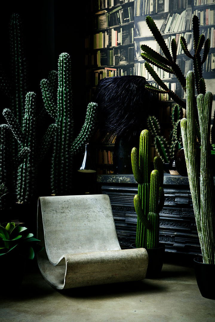 Abigail Ahern faux cactus collection Abigail Ahern حديقة داخلية تصميم مساحات داخلية