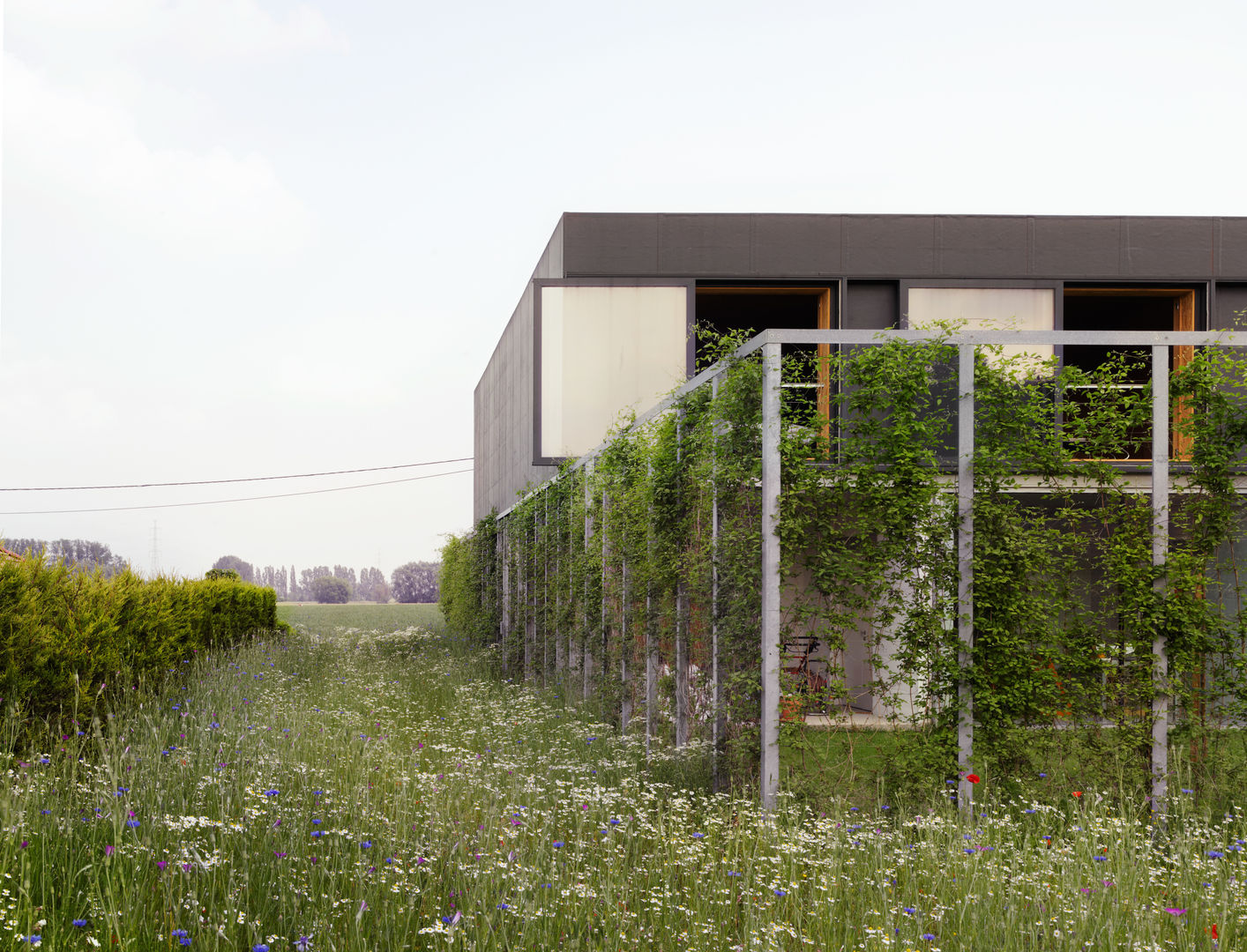 Villa Buggenhout © Bas Princen OFFICE Kersten Geers David Van Severen Jardin rustique Fleur,Plante,Ciel,Immeuble,Terrain,Gazon,Clôture,Arbre,Arbuste,Paysage