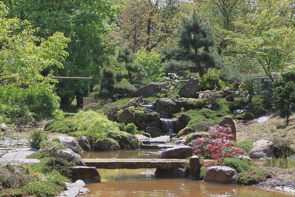 Wasser im Garten, Natur-Teiche, Schwimm-Teiche, Wasserfälle, Bachläufe, Tsukubai, japan-garten-kultur japan-garten-kultur Jardines de estilo asiático