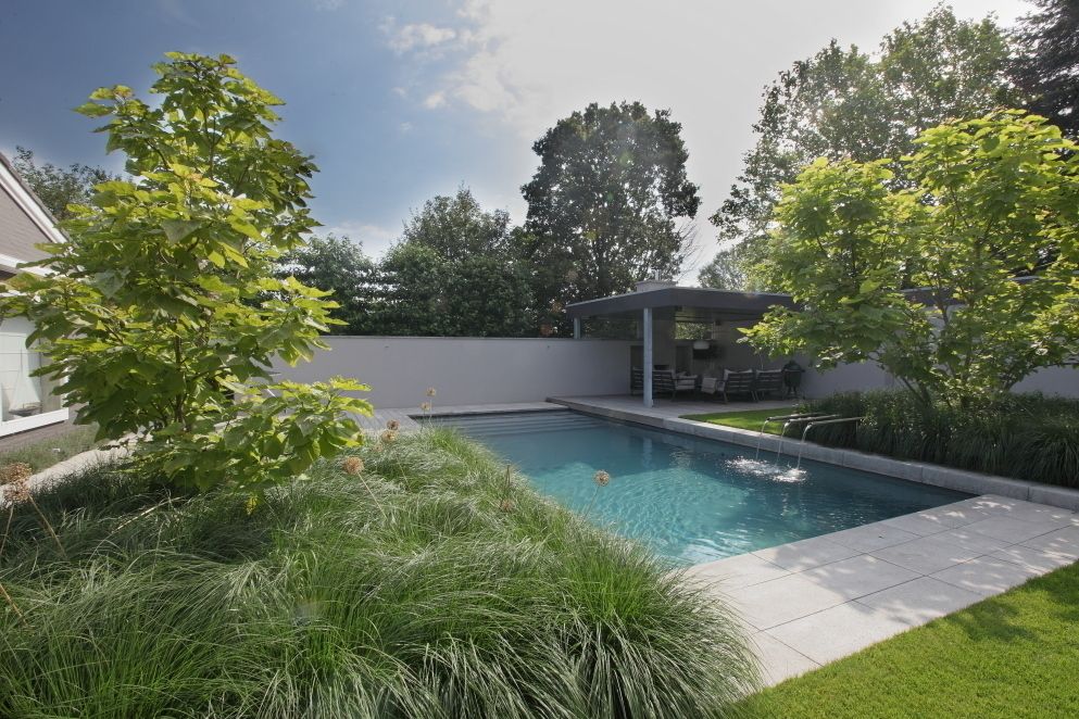 Leeftuin voor het hele gezin, Sparq Tuinen Sparq Tuinen Moderne tuinen Water,Plant,Wolk,Lucht,Eigendom,Zwembad,Boom,Waterlichaam,Schaduw,land veel