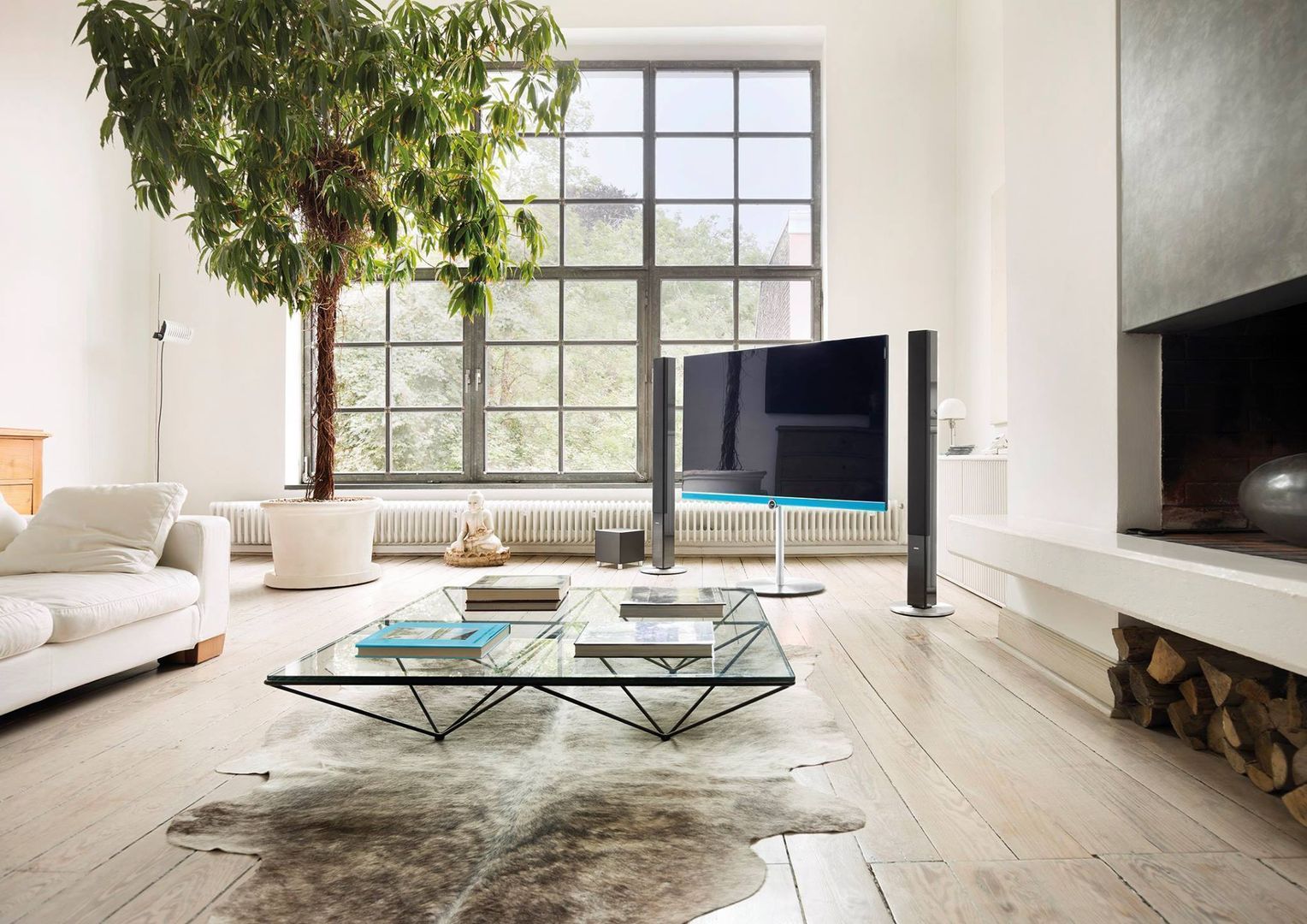 Loewe TV + Soundlösungen, media & home :: hoffmann media & home :: hoffmann Modern Oturma Odası