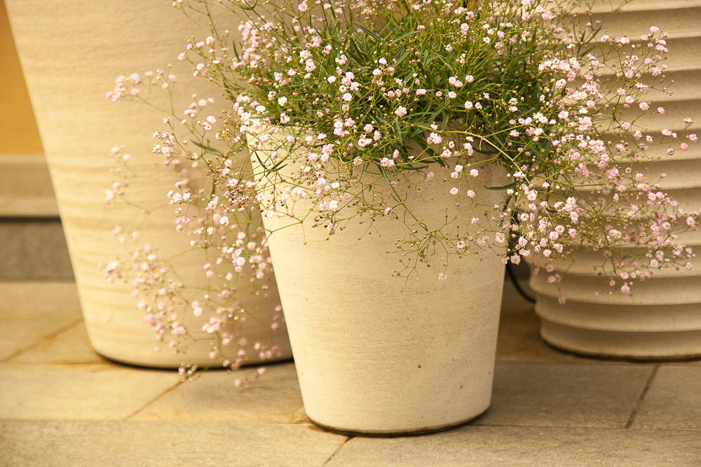 Terrazzo in Torino, Neò Natura su misura Neò Natura su misura 露臺 植物與花