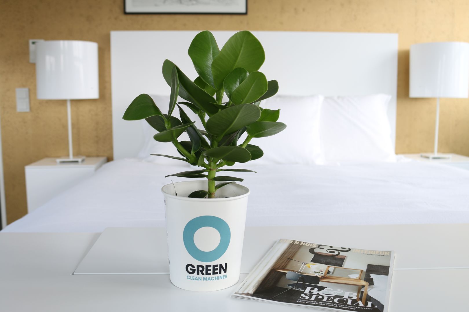 Ogreen, Ogreen Ogreen غرفة المعيشة