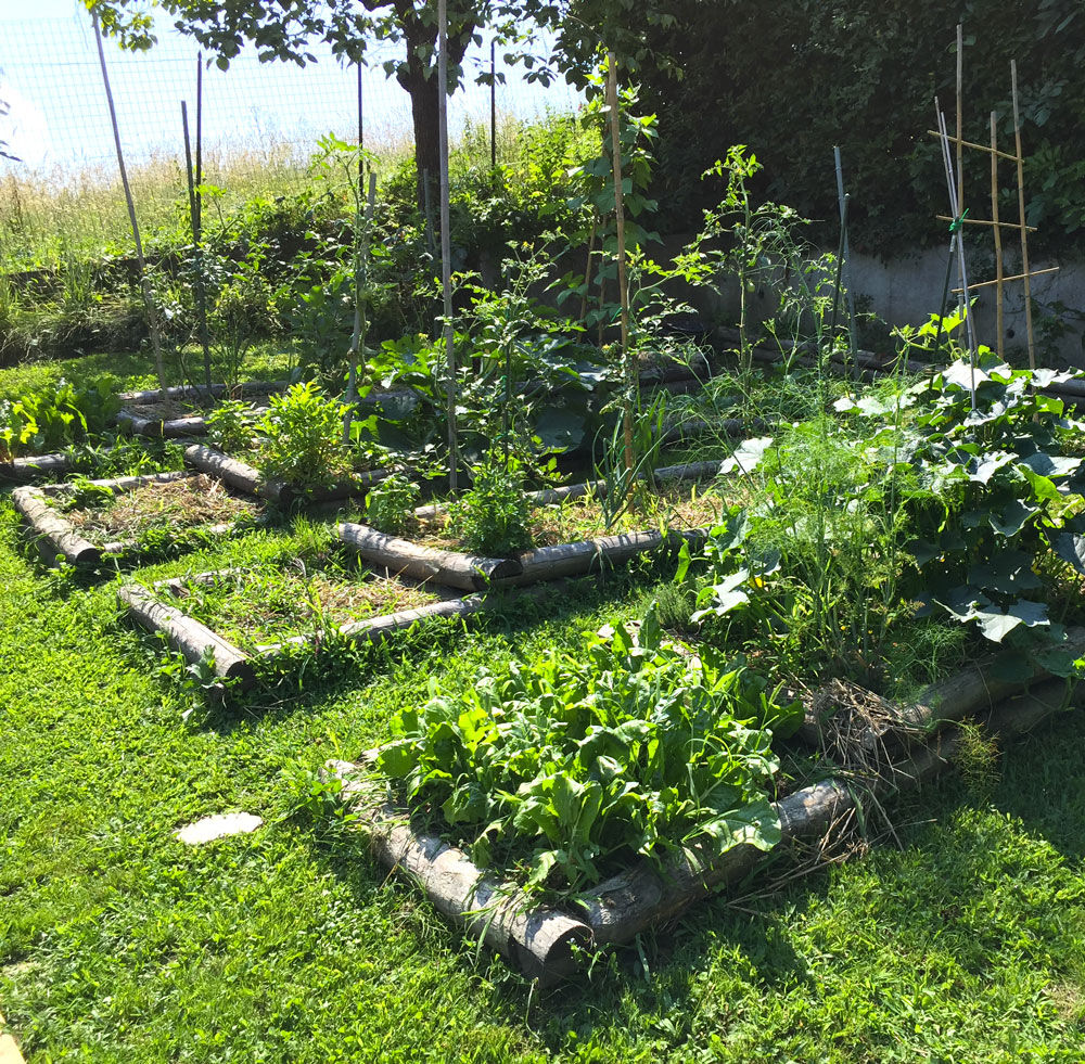 M+M Ti regalo un giardino, suingiardino suingiardino Сад в стиле кантри