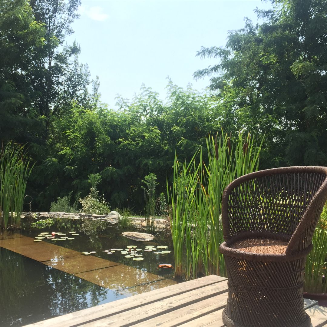 Let's jump into nature, suingiardino suingiardino Country style garden Swim baths & ponds