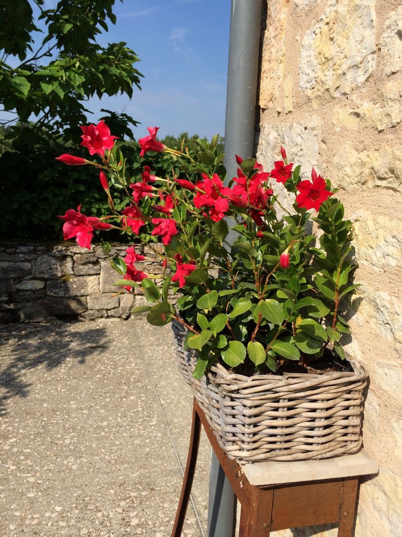 CAMPAGNE CHIC MAISON DE FAMILLE, INSIDE-DECO-TENDANCE INSIDE-DECO-TENDANCE Jardin rural