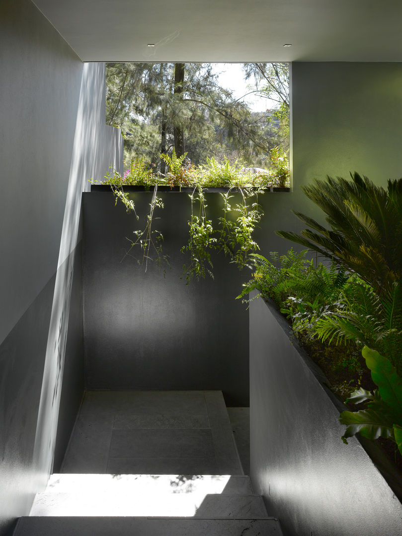 Casa Barrancas, Ezequiel Farca Ezequiel Farca Modern corridor, hallway & stairs