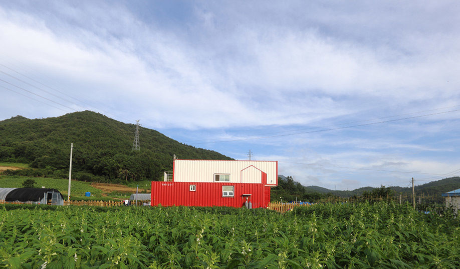 Steel Nest on Greenfield thinkTREE Architects and Partners Casas modernas: Ideas, imágenes y decoración