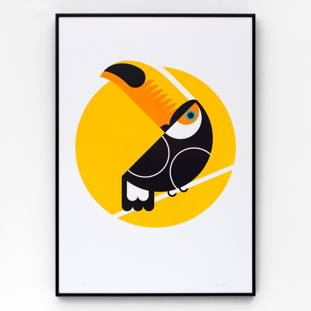 Toucan Screen print The Lost Fox Other spaces Pictures & paintings