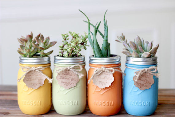 Mason Jar planten Mason Jar Kitchen Binnentuin Binnenbeplanting