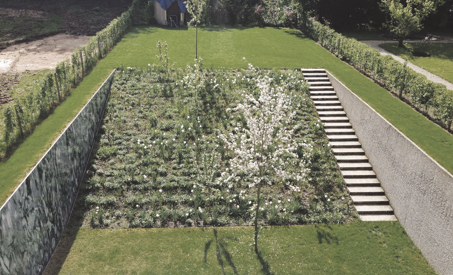 BBS094 I BRUXELLES, BE I JARDIN INCLINÉ, Bureau Bas Smets Bureau Bas Smets Jardin minimaliste Plante,Botanique,Gazon,Haie,Arbuste,Couverture de sol,Fleur,Arbre,Loisirs,Paysage