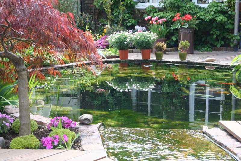 Mediteraner Bauernhof, Nagelschmitz Garten- und Landschaftsgestaltung GmbH Nagelschmitz Garten- und Landschaftsgestaltung GmbH 컨트리스타일 정원