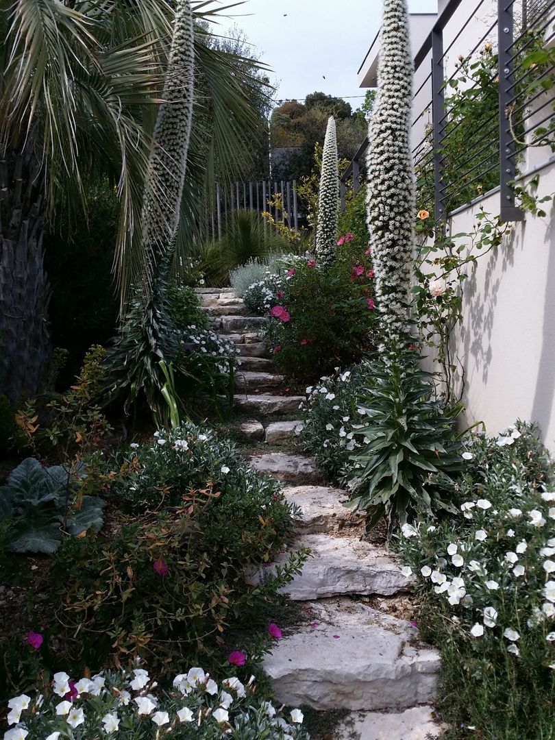 Jardin méditerranée & jardin Mexicain à Cannes, Nazarian Espaces Verts Nazarian Espaces Verts Garden