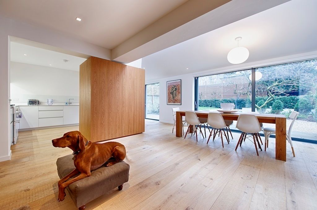 Dining Area Belsize Architects 모던스타일 다이닝 룸 액세서리 & 장식