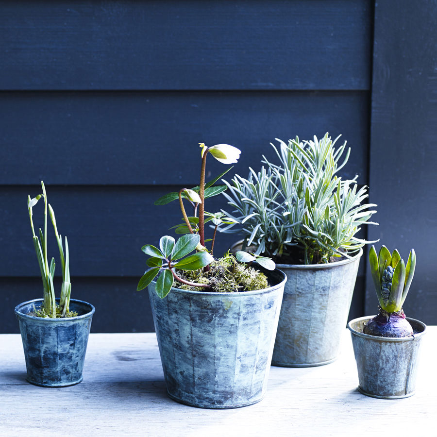 Brent Verdigris Plant Pot, Rowen & Wren Rowen & Wren Jardines de estilo rústico Floreros y macetas