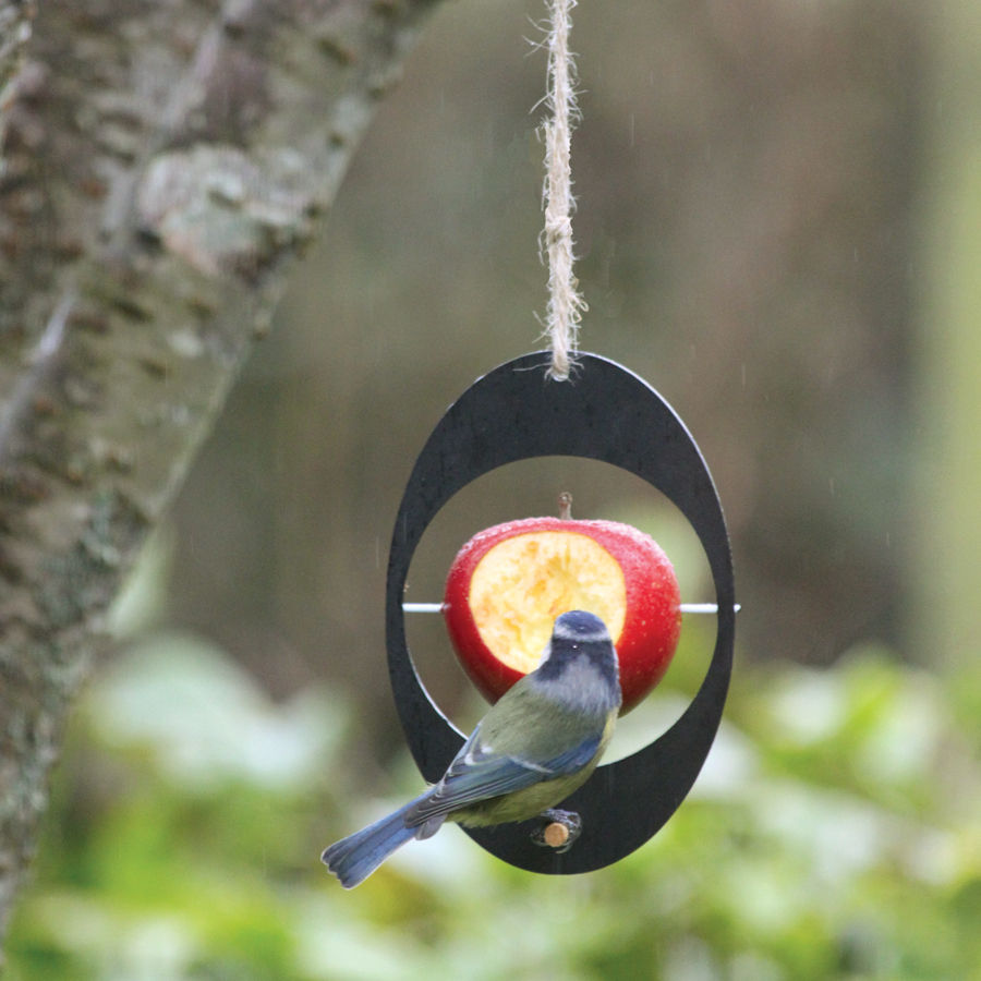 Eco Bird Feeder ashortwalk Nowoczesny ogród Akcesoria i dekoracje