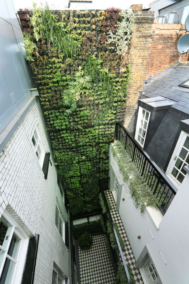 Luxury London penthouse, Alex Maguire Photography Alex Maguire Photography Modern style gardens