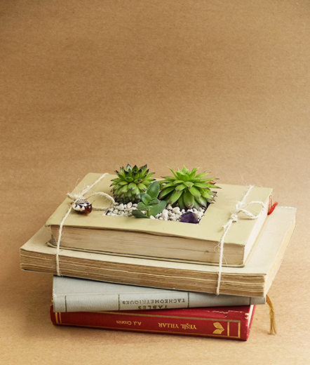 Kitap saksı, Terraqua Design Terraqua Design Klasik Balkon, Veranda & Teras Bitki & Çiçekler
