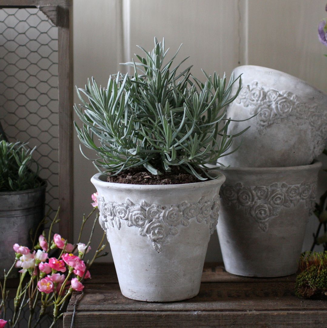 Aged Stone Rose Pot homify Country style garden Plant pots & vases