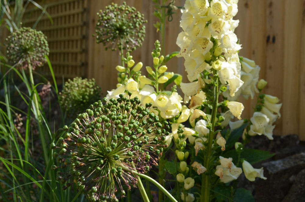 Steeply sloping garden with decked terraces Susan Dunstall Landscape & Garden Design