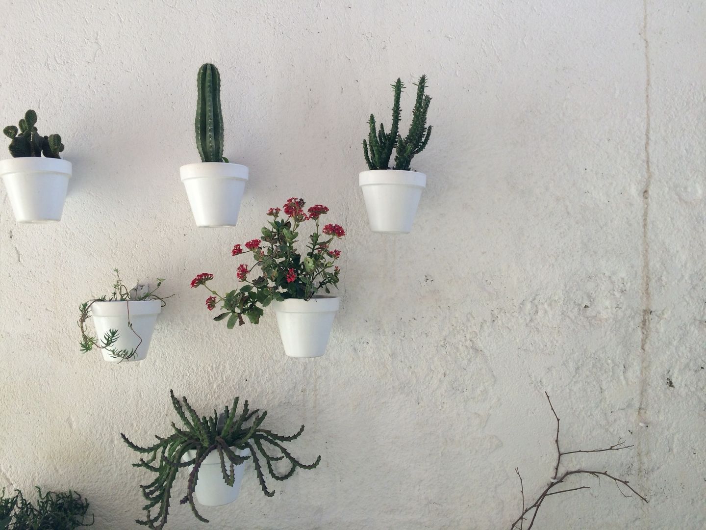 TIENDA, Meublé Meublé Mediterranean style balcony, veranda & terrace Plants & flowers