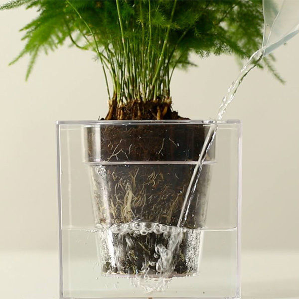 Maceta Cube, de la firma Boskke, Gnomo Gnomo Minimalist style garden Plants & accessories