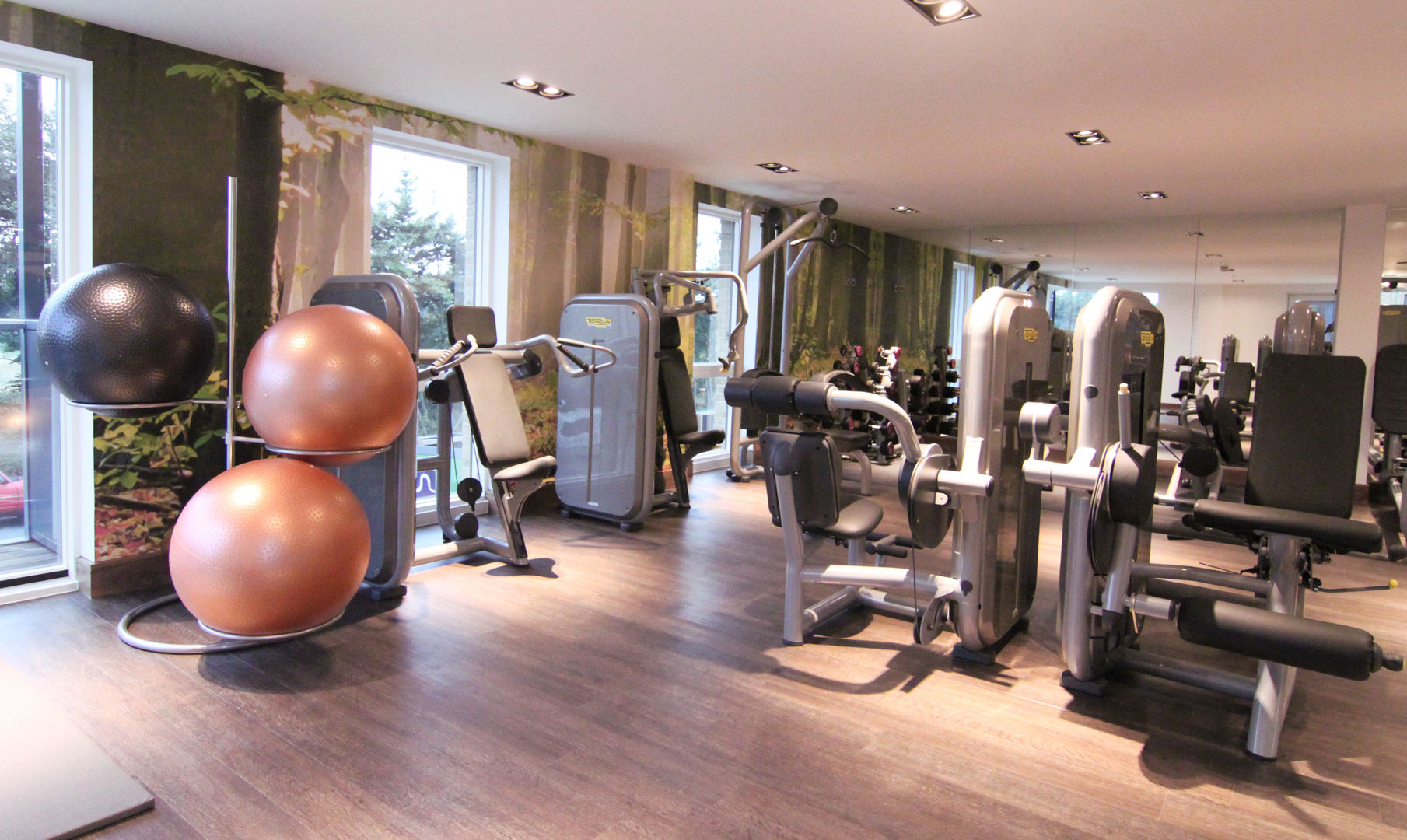 Home Gym Raw Corporate Health Palestra in stile moderno