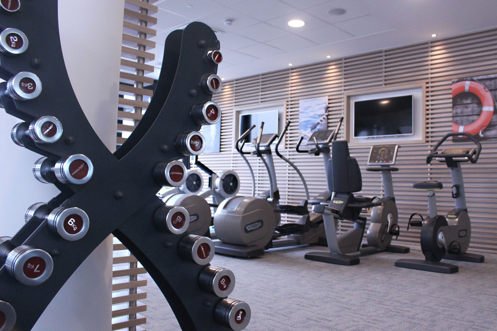 Home Gym Raw Corporate Health Modern Gym