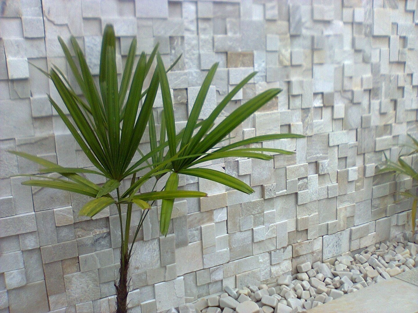 Mosaicos, DECOR PEDRAS PISOS E REVESTIMENTOS DECOR PEDRAS PISOS E REVESTIMENTOS حديقة