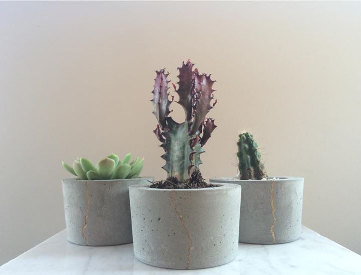 MACETAS, HELIO HELIO Jardines minimalistas Plantas de interior, maceteros y accesorios