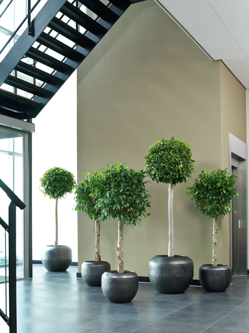 homify حديقة داخلية Interior landscaping