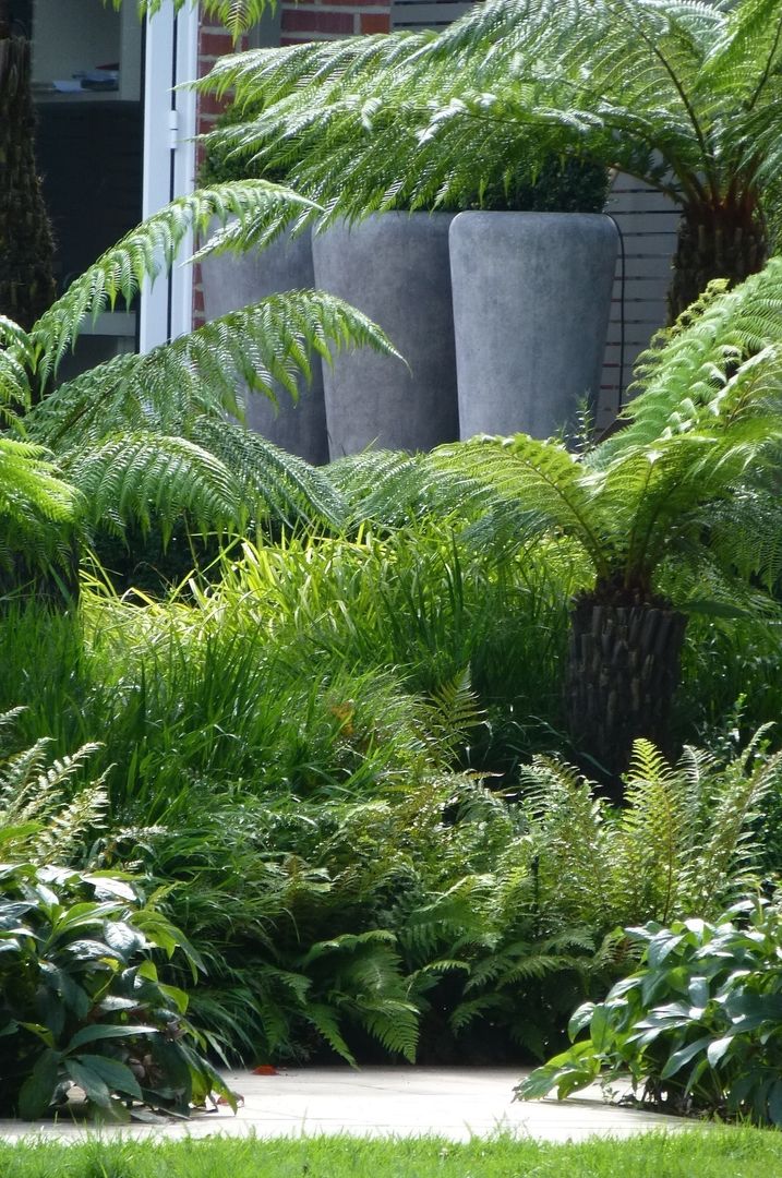 Fern Garden Garden Arts Jardines tropicales