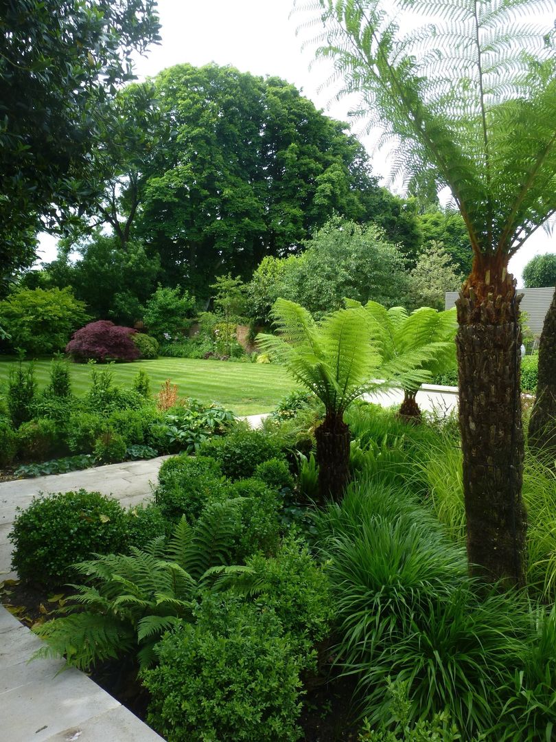 Fern Garden Garden Arts Tropische tuinen