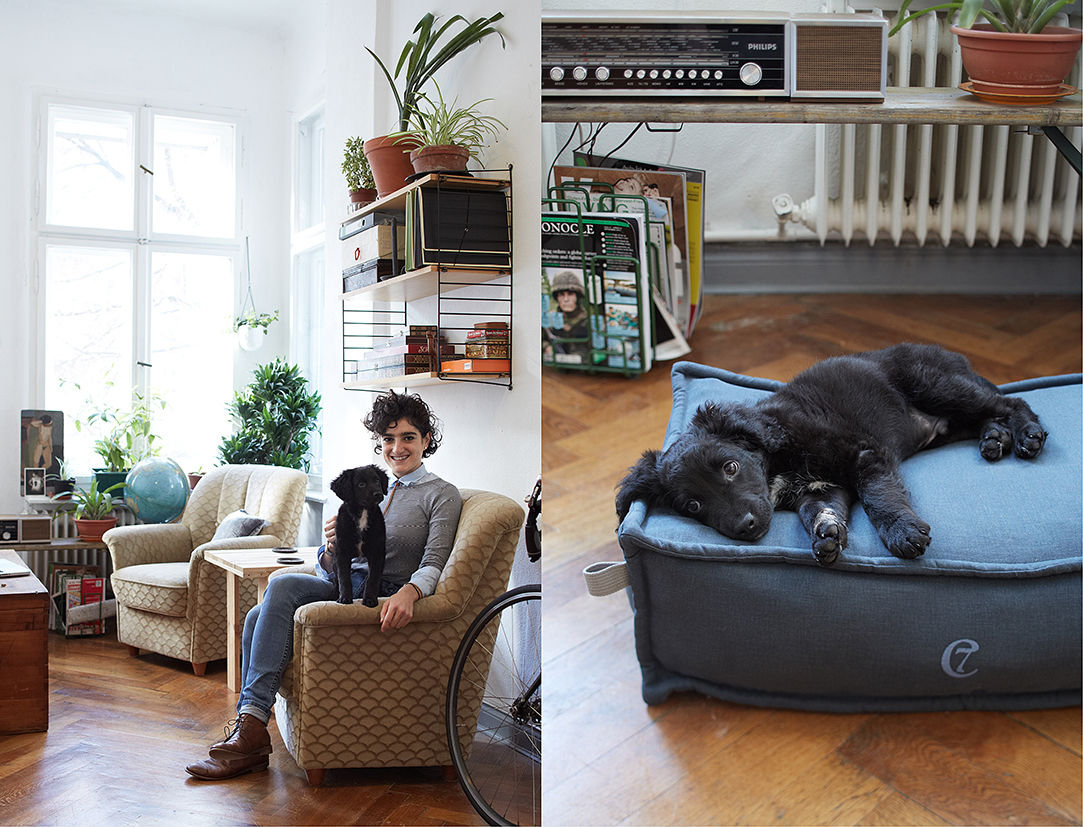 C7 Dog Bed COZY Cloud 7 Finest Interiors for Dogs & Dog Lovers Salas de estar modernas Acessórios e Decoração