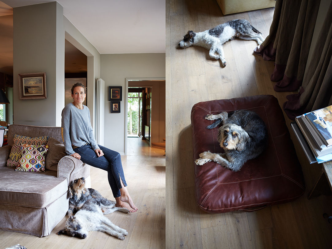 Living with your Dog, Cloud 7 Finest Interiors for Dogs & Dog Lovers Cloud 7 Finest Interiors for Dogs & Dog Lovers 现代客厅設計點子、靈感 & 圖片 配件與裝飾品