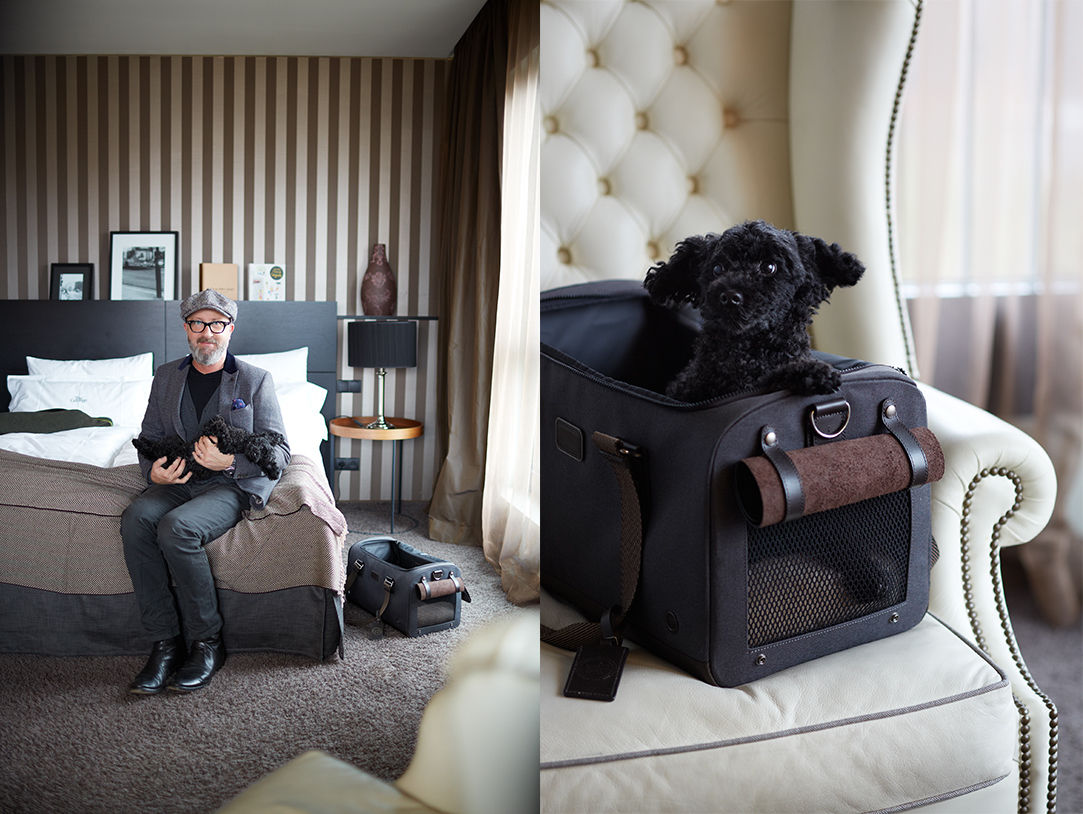 Living with your Dog, Cloud 7 Finest Interiors for Dogs & Dog Lovers Cloud 7 Finest Interiors for Dogs & Dog Lovers Living room Accessories & decoration