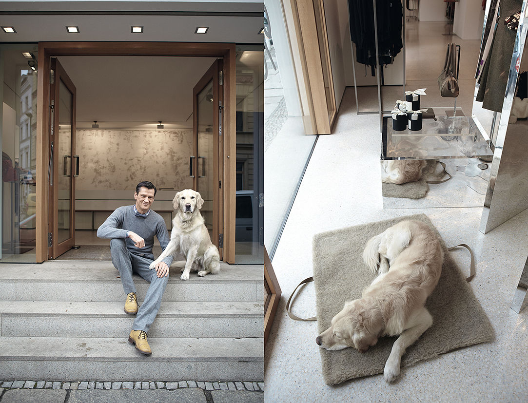 Living with your Dog, Cloud 7 Finest Interiors for Dogs & Dog Lovers Cloud 7 Finest Interiors for Dogs & Dog Lovers Ruang Keluarga Modern Accessories & decoration