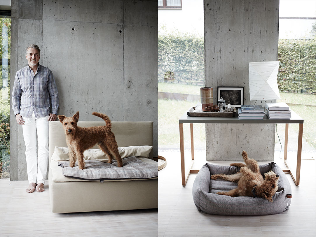 Living with your Dog, Cloud 7 Finest Interiors for Dogs & Dog Lovers Cloud 7 Finest Interiors for Dogs & Dog Lovers Salas de estilo moderno Accesorios y decoración