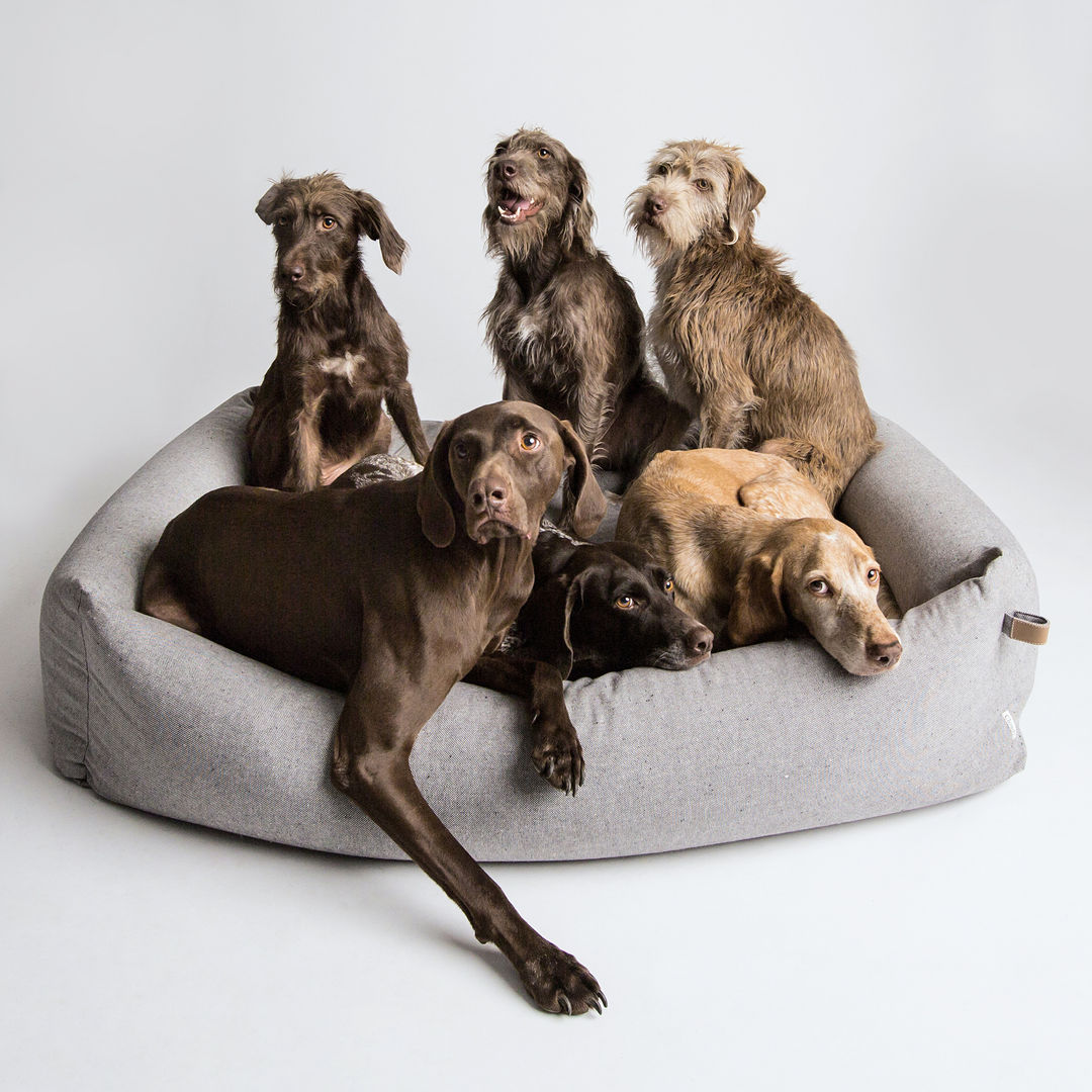 Interior Dog Beds, Cloud 7 Finest Interiors for Dogs & Dog Lovers Cloud 7 Finest Interiors for Dogs & Dog Lovers Salas de estar modernas Acessórios e Decoração