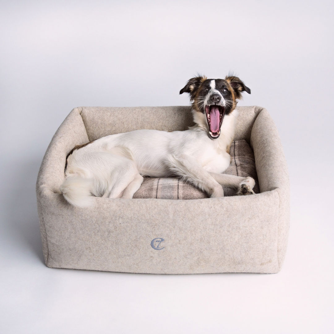 Interior Dog Beds, Cloud 7 Finest Interiors for Dogs & Dog Lovers Cloud 7 Finest Interiors for Dogs & Dog Lovers Livings modernos: Ideas, imágenes y decoración Decoración y accesorios