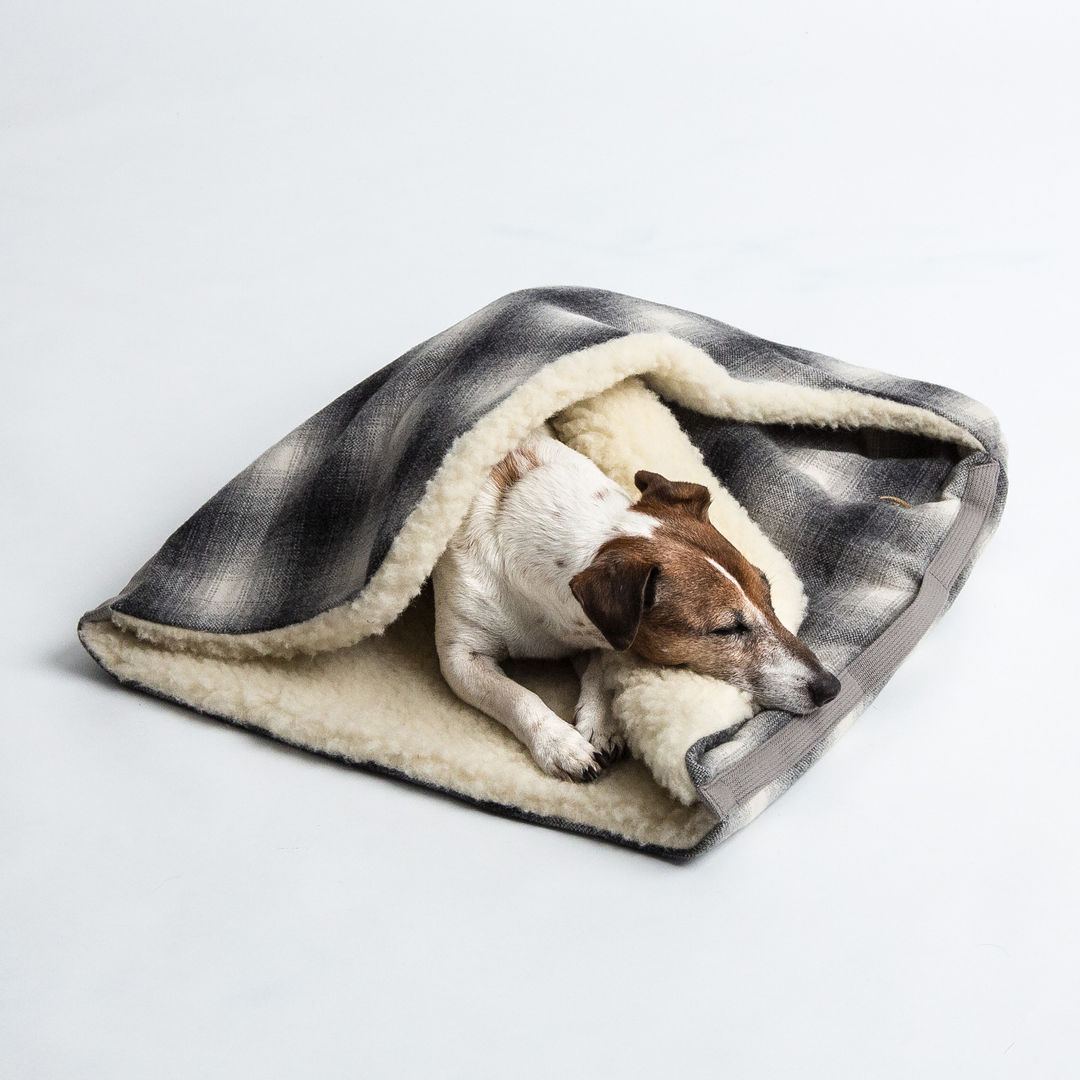 Interior Dog Beds, Cloud 7 Finest Interiors for Dogs & Dog Lovers Cloud 7 Finest Interiors for Dogs & Dog Lovers Livings modernos: Ideas, imágenes y decoración Decoración y accesorios