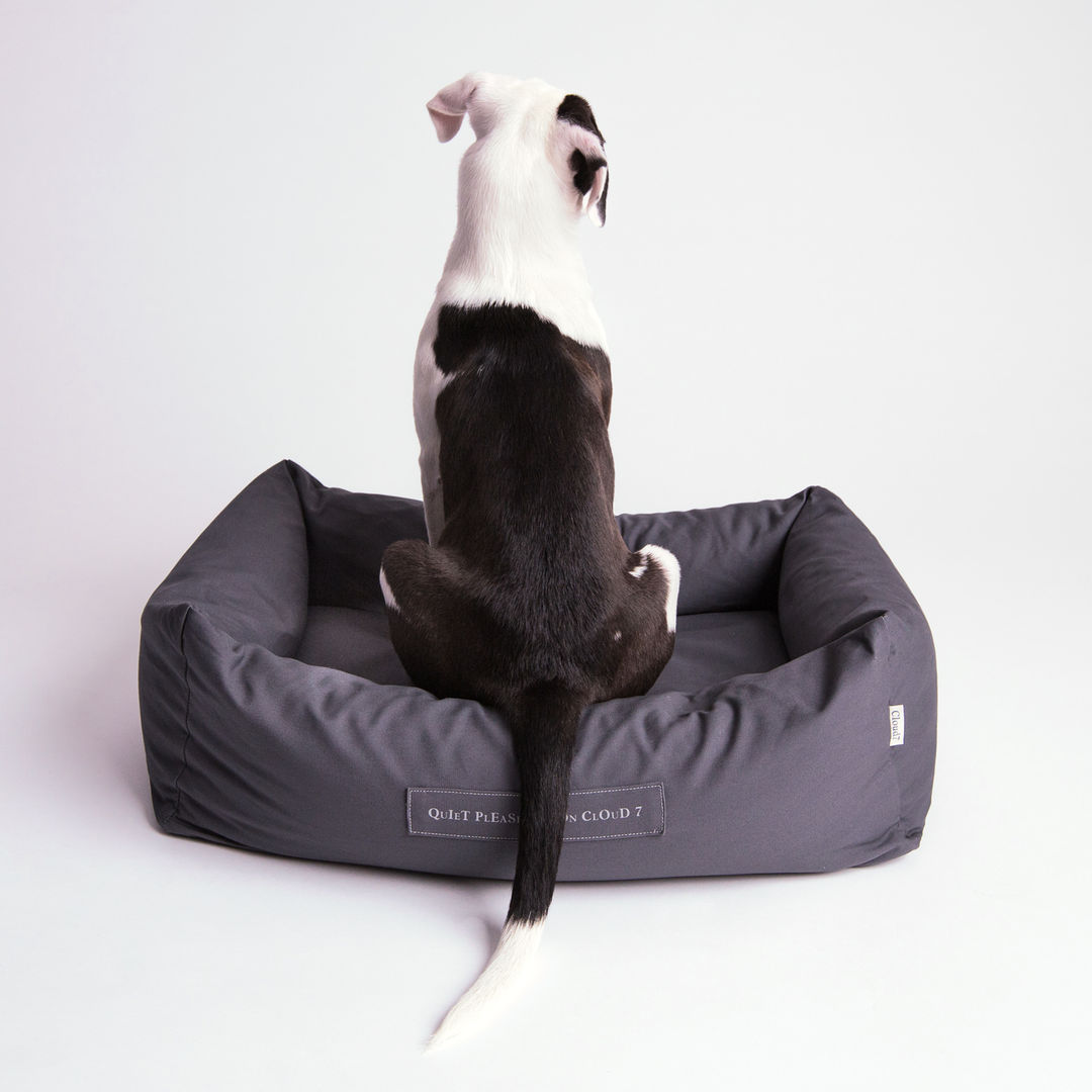 Interior Dog Beds, Cloud 7 Finest Interiors for Dogs & Dog Lovers Cloud 7 Finest Interiors for Dogs & Dog Lovers Modern living room Accessories & decoration