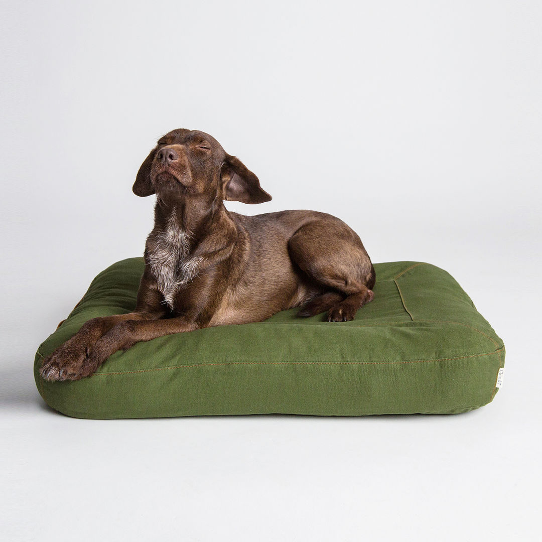 Interior Dog Beds, Cloud 7 Finest Interiors for Dogs & Dog Lovers Cloud 7 Finest Interiors for Dogs & Dog Lovers 现代客厅設計點子、靈感 & 圖片 配件與裝飾品