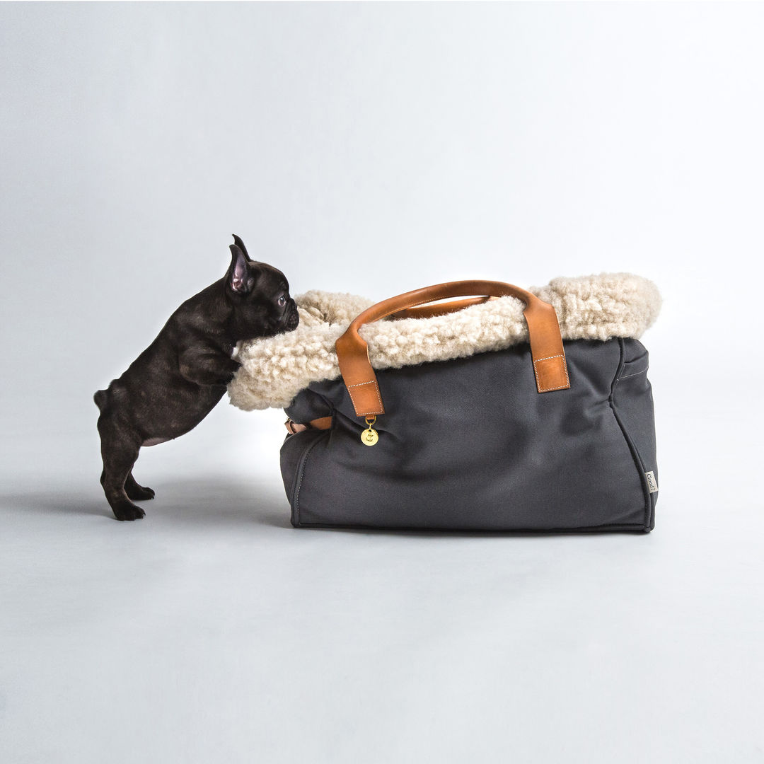 Dog CITY CARRIER (S) Cloud 7 Finest Interiors for Dogs & Dog Lovers Salas de estar modernas Acessórios e Decoração