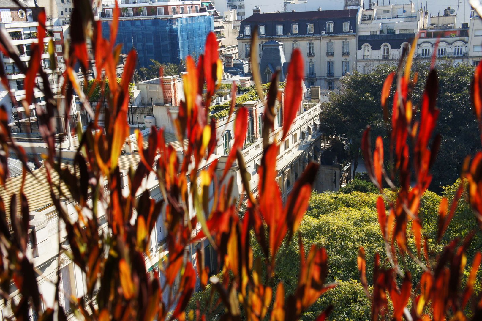 Un Balcón para una Coleccionista de Arte, Estudio Nicolas Pierry: Diseño en Arquitectura de Paisajes & Jardines Estudio Nicolas Pierry: Diseño en Arquitectura de Paisajes & Jardines Балкон и терраса в стиле модерн