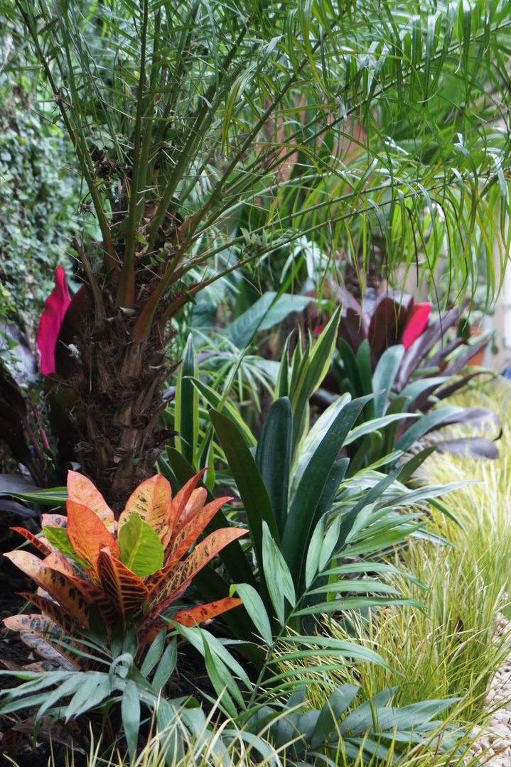 Jardín de Sombra, Estudio Nicolas Pierry: Diseño en Arquitectura de Paisajes & Jardines Estudio Nicolas Pierry: Diseño en Arquitectura de Paisajes & Jardines Jardines de estilo tropical