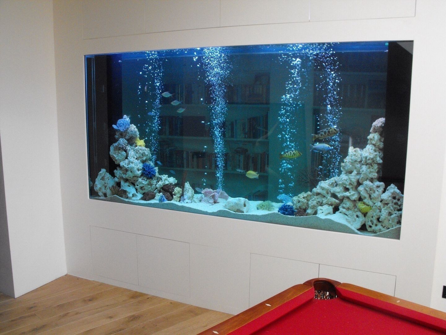 1500 litre bespoke through wall aquarium in a Surrey home Aquarium Services Corredores, halls e escadas modernos