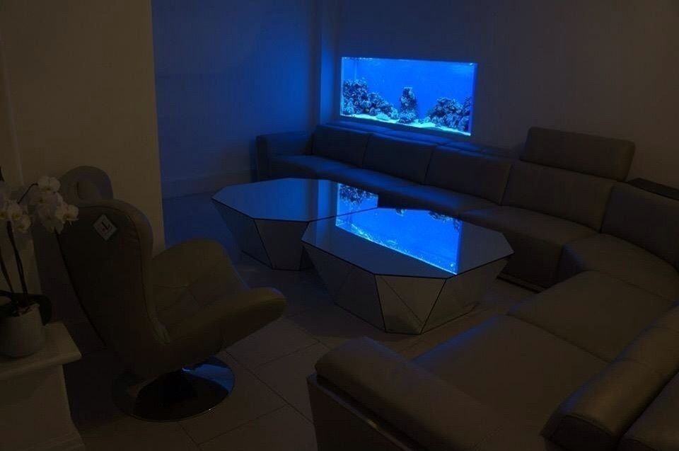 In wall aquarium Aquarium Services Soggiorno moderno