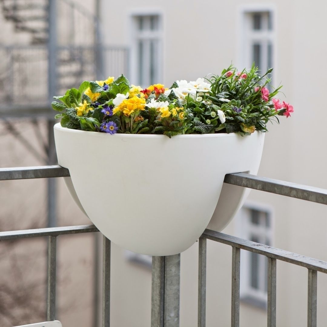 homify Balcon, Veranda & Terrasse modernes Plantes et fleurs